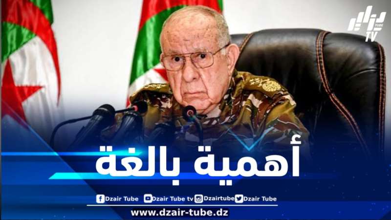 الفريق أول شنقريحة: تمرس المقاتل في الحروب عامل حاسم ومعيار مهم لقياس مدى جاهزية القوات لأداء مهامها