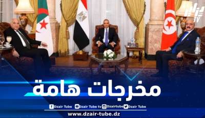 في بيان مشترك للجزائر ومصر وتونس… هذه مخرجات الاجتماع الوزاري للآلية الثلاثية حول ليبيا