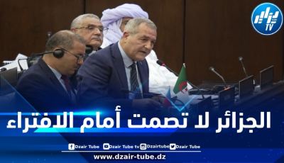 من جاكرتا الأندونيسية… الجزائر تؤدب الطغمة الانقلابية في مالي وترد بقوة على إساءاتها