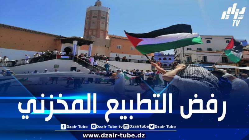 عشرات الوقفات الاحتجاجية بالمدن المغربية تعبيراً عن التضامن مع غزة وإدانة للعدوان الصهيوني.