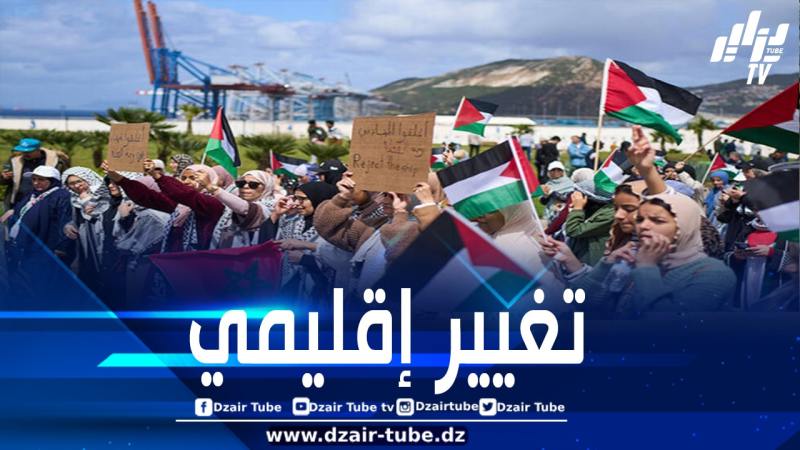 مجلة فورين أفيرز الأمريكية: الاحتجاجات الشعبية ضد الكيان أدت إلى تحويل مسار التطبيع ليصبح أقرب إلى “كلب لا ينبح”