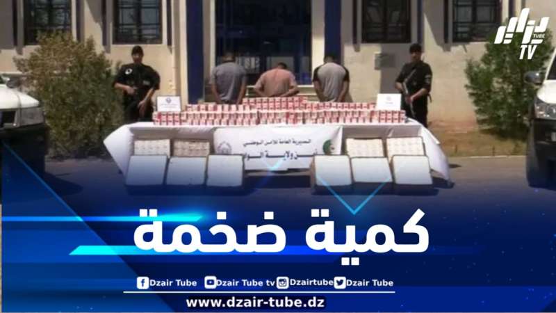 شرطة الوادي تضبط أزيد من نصف مليون كبسولة بريغابالين