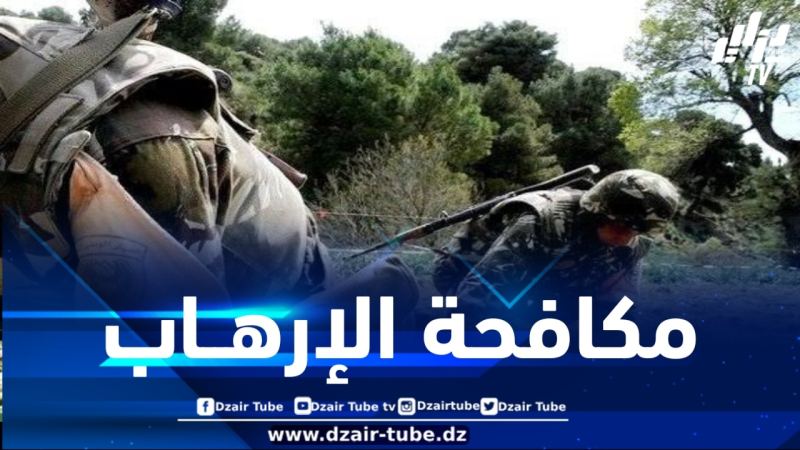توقيف 9 عناصر دعم للجماعات الإرهابية