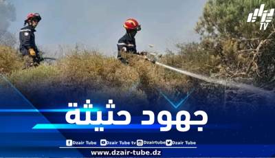 المدية : تسجيل 18 حريقاً خلال 24 ساعة ومصالح الحماية تتدخل لإخمادها