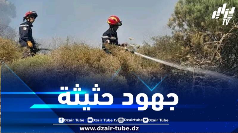 المدية : تسجيل 18 حريقاً خلال 24 ساعة ومصالح الحماية تتدخل لإخمادها