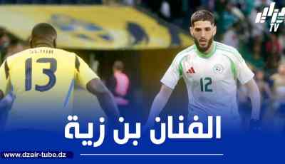 بالـــفيديو…ملخص ما قدمه بن زية ضد السويد