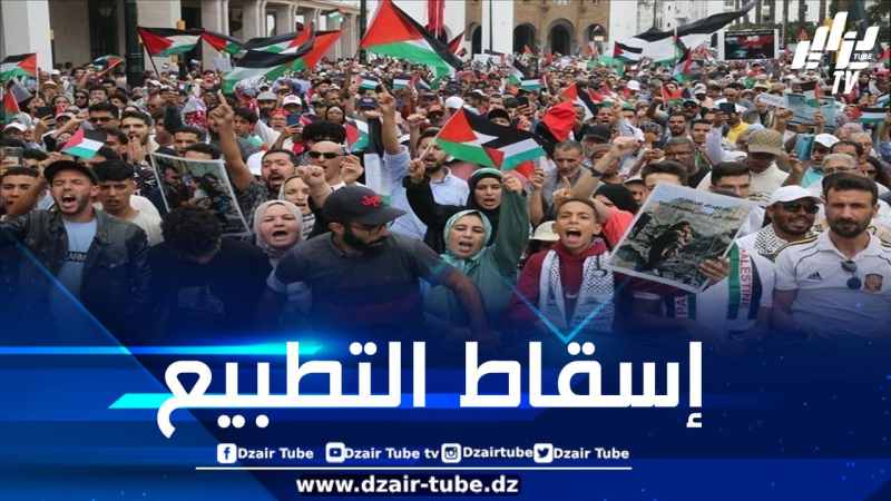 104 مظاهرة عبر 60 مدينة مغربية رفضاً لتجويع غزة ودفاعاً عن القضية الفلسطينية