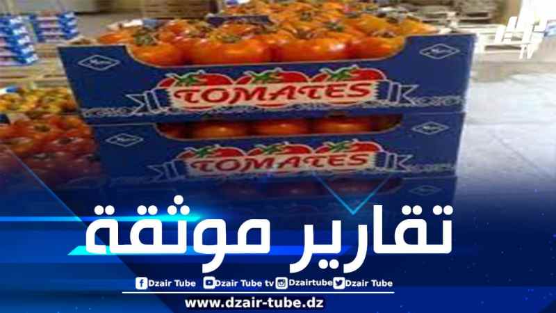 المخزن في قلب فضيحة جديدة.. المغرب يزيّف منشأ منتجات من الصحراء الغربية ويسوّقها في أسواق الاتحاد الأوروبي على أساس منتجات “مغربية”