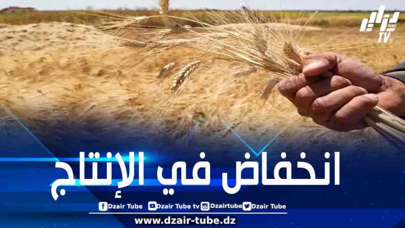“الفاو”: المغرب يحتاج إلى استيراد 11 مليون طن من الحبوب وإنتاجه دون المتوسط