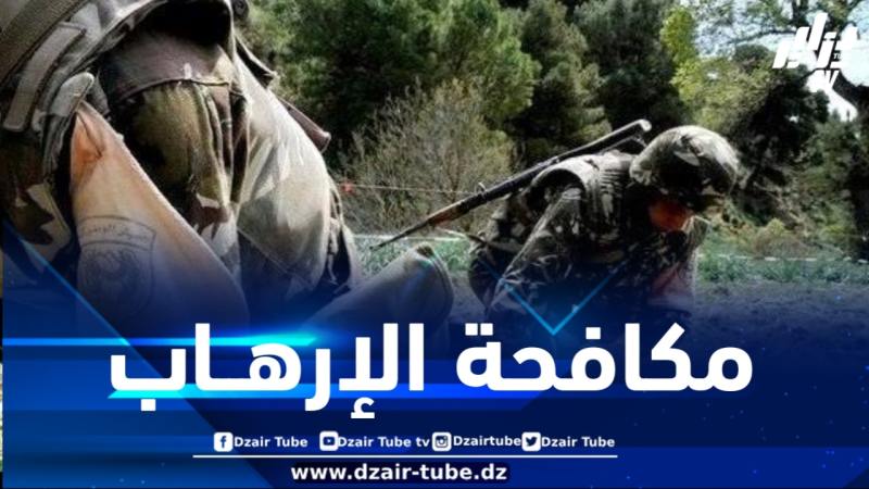 توقيف 7 عناصر دعم للجماعات الإرهابية