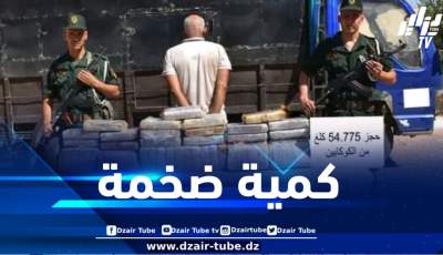 توقيف 308 منقباً غير شرعي عن الذهب بالجنوب
