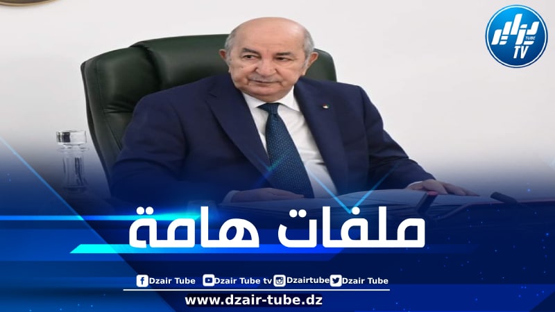 ملف صناعة السيارات على طاولة مجلس الوزراء