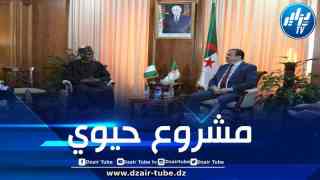 جديد مشروع أنبوب الغاز العابر للصحراء