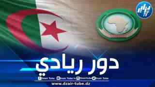 الجزائر تستعد لرئاسة مجلس السلم والأمن التابع للاتحاد الافريقي في أوت المقبل