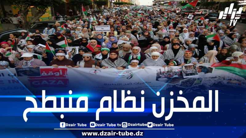 بالصور: نشطاء ومواطنين مغاربة يخرجون في مسيرة تنتهي باعتصام أمام ميناء طنجة تنديدا بسماح سلطات المخزن برسو ”سفن الإبادة” في الموانئ المغربية