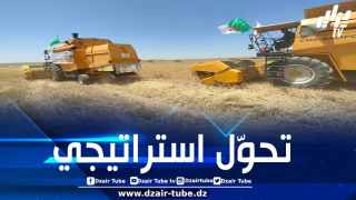 قرار الجزائر وقف استيراد القمح الفرنسي يطيل أزمة مزارعي الحبوب في فرنسا لعام إضافي