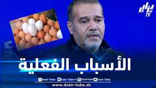 في تصريح لدزاير توب .. زبدي يوضح أسباب الارتفاع الجنوني في أسعار البيض