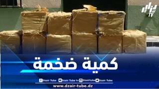إحباط محاولات إدخال كميات ضخمة من المخدرات عبر الحدود مع المغرب