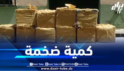 إحباط محاولات إدخال كميات ضخمة من المخدرات عبر الحدود مع المغرب