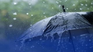 أمطار رعدية مرتقبة بهذه الولايات