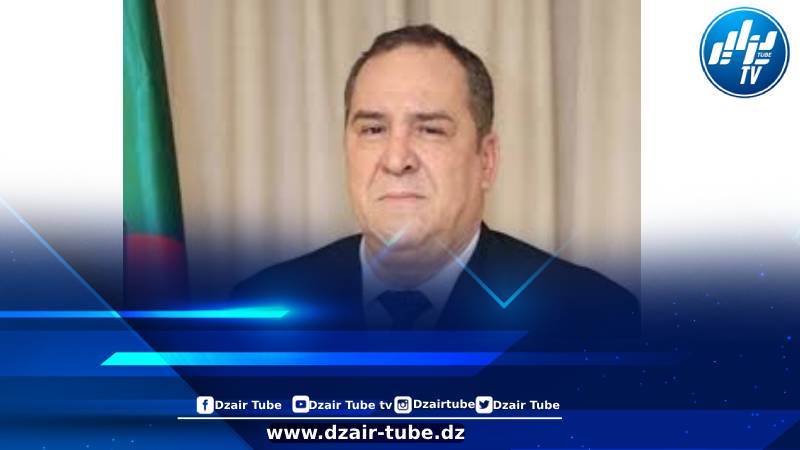 الجزائر تعبّد طريق الطموح الإفريقي… بقلم وزير الاتصال محمد مزيان