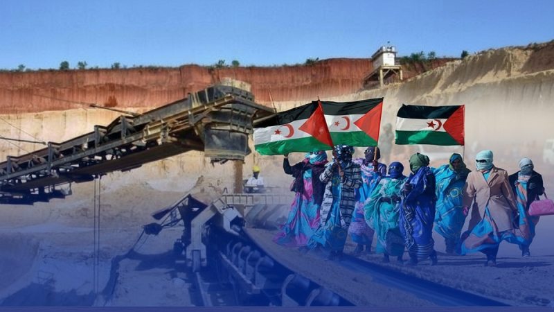 نهب الثروات في الصحراء الغربية يفضح الوجه الاستعماري للمغرب بعد أن حوّلها إلى مصدر أرباح غير شرعية على حساب شعبها