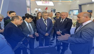 كاتب الدولة المكلف بالطاقات المتجددة يبرز دور الابتكار في مواجهة التحديات الطاقوية بالقارة الإفريقية