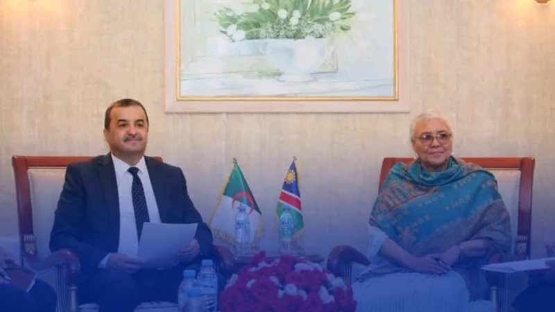 وزير الطاقة والمناجم يتحادث مع نائبة رئيسة جمهورية ناميبيا