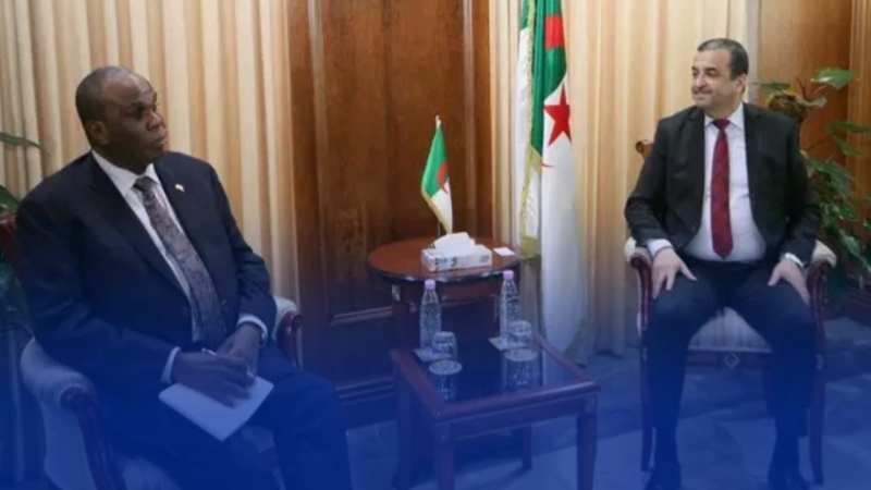 وزير الطاقة والمناجم يستقبل رئيس البنك الإفريقي للتصدير والاستيراد