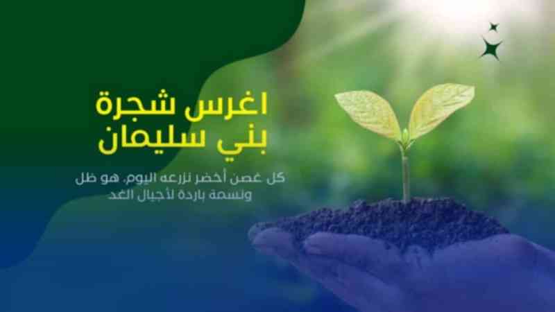 المدية : إطلاق حملة لغرس الأشجار ببني سليمان وسط مشاركة واسعة