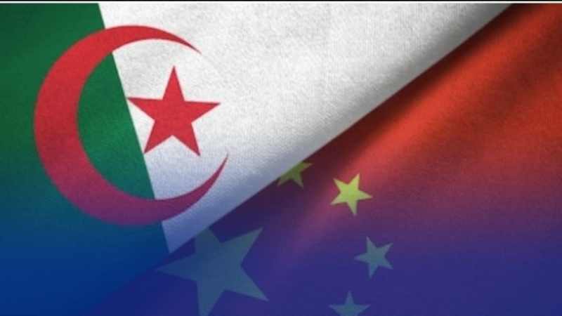 شركة صينية تسعى لإطلاق مشروع استثماري ضخم في الجزائر