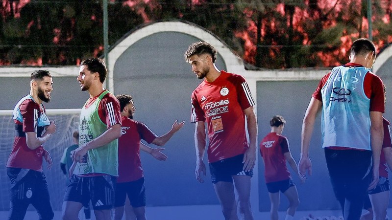 3 مكاسب تنتظر الخضر في حال الفوز على بوتسوانا و غينيا
