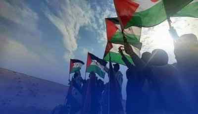 بين الحق والواقعية السياسية.. المغرب يناور والبوليساريو تحذّر: الصحراء الغربية ليست للبيع يا مخزن!