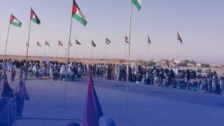 البوليساريو تؤكد رفضها المشاركة في أي مفاوضات تُقيد حق الشعب الصحراوي في تقرير المصير