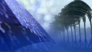 أمطار رعدية معتبرة على هذه الولايات