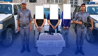 حجز أزيد من 09 آلاف قرص مهلوس بباتنة