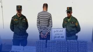 في عملية نوعية… الدرك الوطني بالشلف يحجز قرابة نصف قنطار من الكيف المعالج