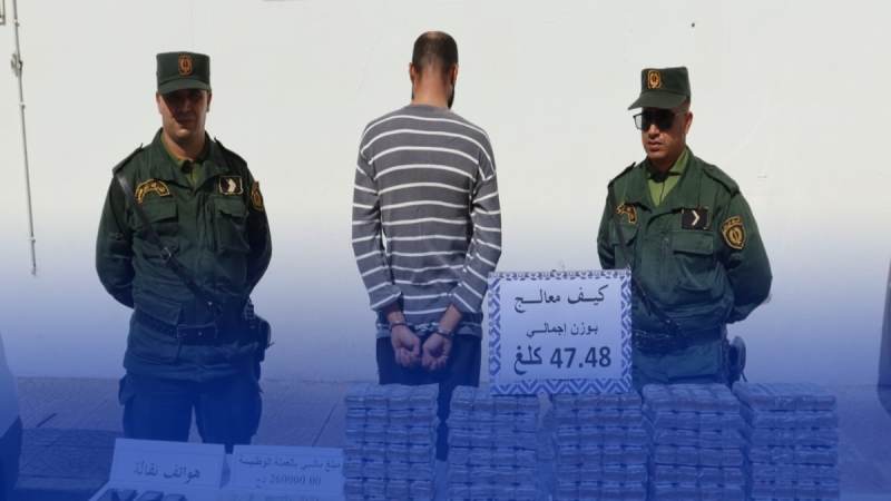 في عملية نوعية… الدرك الوطني بالشلف يحجز قرابة نصف قنطار من الكيف المعالج