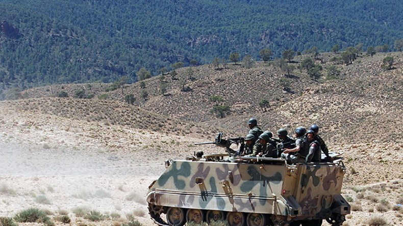 مناورات مشتركة بين الجزائر وتونس قريبا