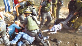 رصاص المستوطنين يفضح المهرولين نحو المفاوضات