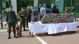 شبكة مغاربية أبرمت صفقات لتهريب المخدرات إلى الجزائر!