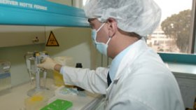 إحباط أكبر عملية لتهريب القرنيات الأمريكية إلى الجزائر