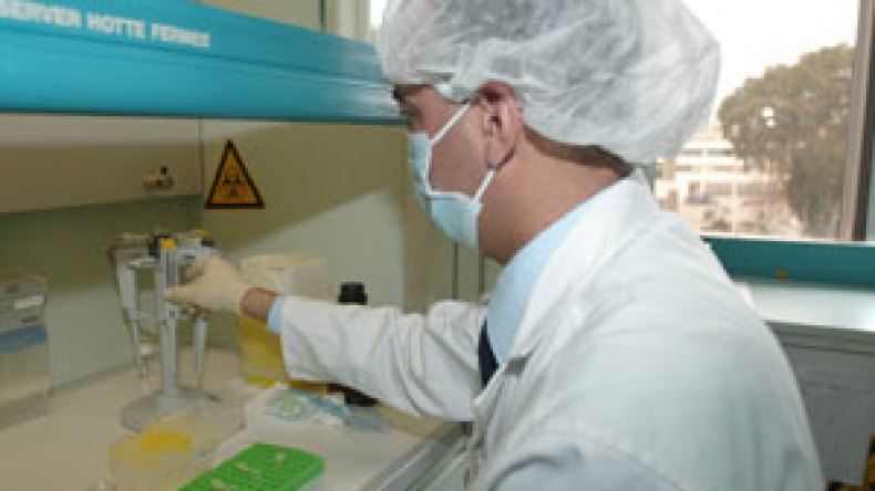 إحباط أكبر عملية لتهريب القرنيات الأمريكية إلى الجزائر