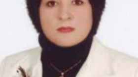برلمانية سورية تنشق عن نظام الأسد وتصل إلى تركيا