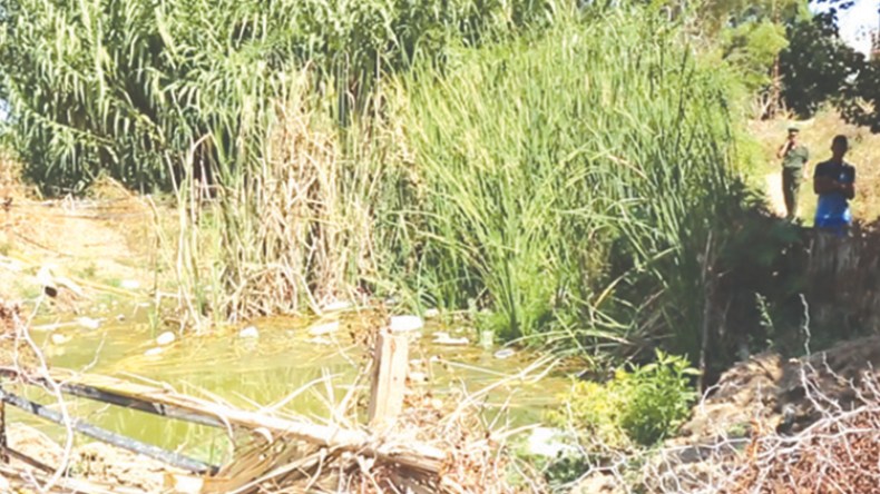 اليوم كوليرا وغدا دينصورات!