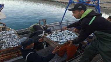 l’UE adopte deux programmes d’appui aux secteurs de la pêche