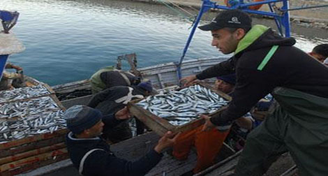 l’UE adopte deux programmes d’appui aux secteurs de la pêche