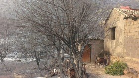 سكان قرية تيزي وكدال ببجاية يطالبون بالترحيل