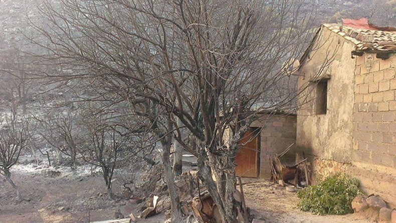 سكان قرية تيزي وكدال ببجاية يطالبون بالترحيل