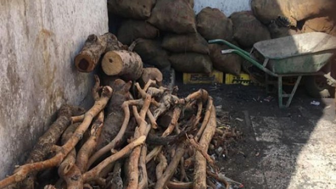 قرية بوعدنان بتيزي وزو تجدّد عهدها مع الإحتطاب